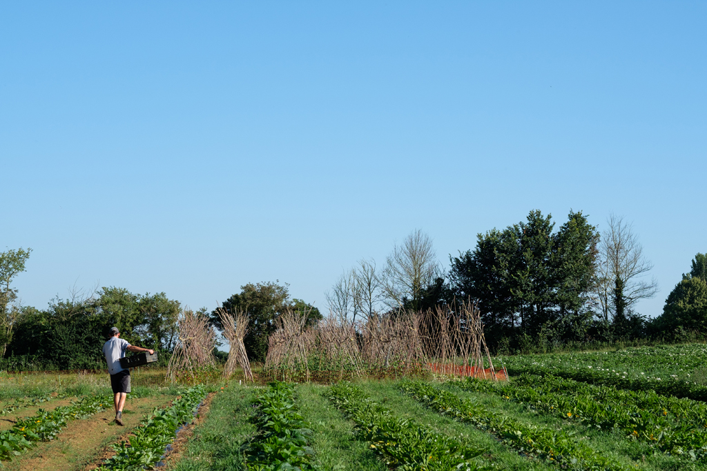 Minimum spend direct to local growers Minimum spend direct to local growers