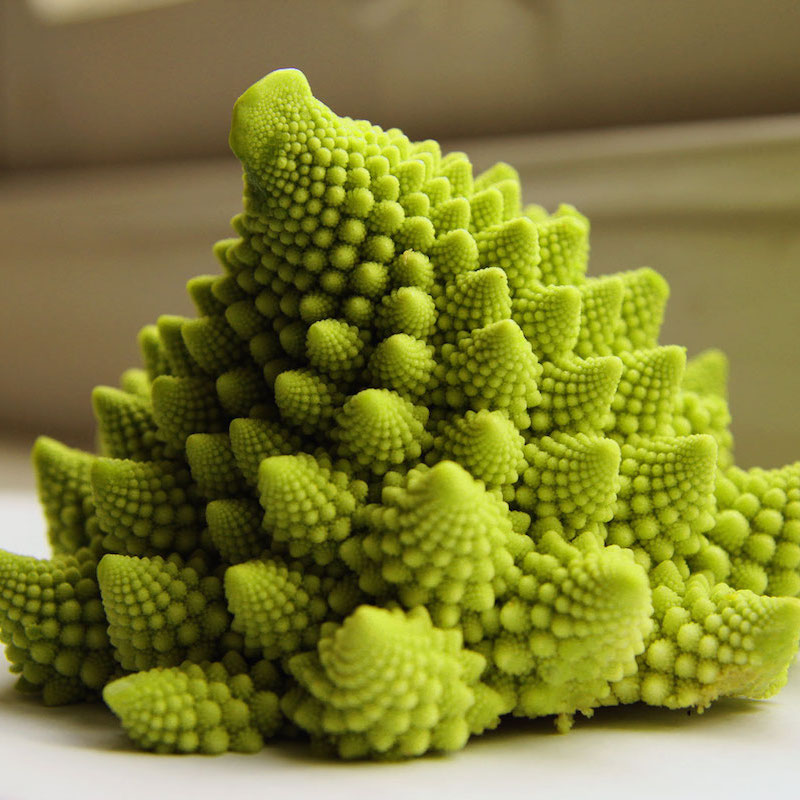 Weekly orders Weekly orders