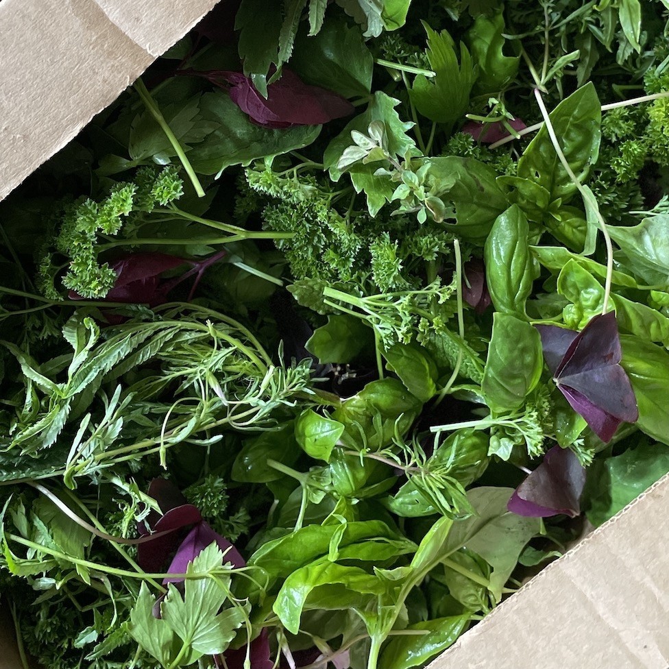 Sales value Sales value